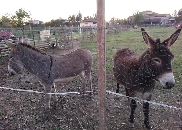 Borgo Floreani Vendoglio